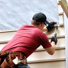 Best Vinyl Siding Installation  in Dania Beach, FL